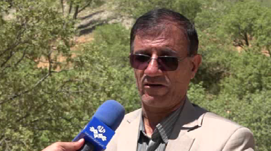 محلول پاشی ۵۰۰ هکتار از جنگلهای کهگیلویه و بویراحمد محلول پاشی ۵۰۰ هکتار از جنگلهای کهگیلویه و بویراحمد