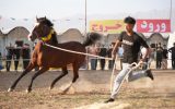 برگزاری ششمین همایش «شوی سواره» در استان کهگیلویه و بویراحمد برگزاری ششمین همایش «شوی سواره» در استان کهگیلویه و بویراحمد