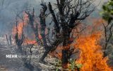 مهار آتش در کهگیلویه و بویراحمد؛از کمبود نیرو تا نیاز به بالگرد امدادی مهار آتش در کهگیلویه و بویراحمد؛از کمبود نیرو تا نیاز به بالگرد امدادی
