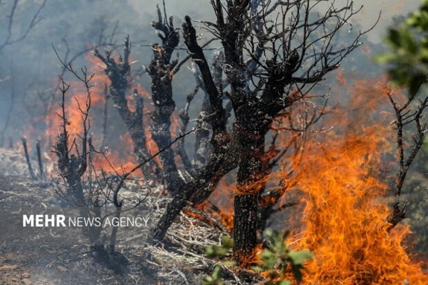 مهار آتش در کهگیلویه و بویراحمد؛از کمبود نیرو تا نیاز به بالگرد امدادی