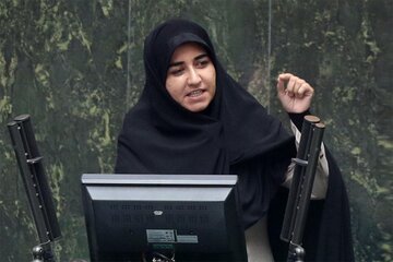 انتقاد تند یک نماینده مجلس از بنیادهای مذهبی و فرهنگی در خارج از کشور/ برخی از سفرای ما پادوهای خانوادگی سیاسیون در فروشگاه‌های زنجیره‌ای خارج هستند