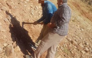 رأی سبز دادگاه در یاسوج؛ کاشت بوته و‌ گیاه به جای حبس برای متهمان