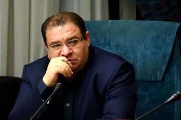 محمد گلزاری: دولت نگرانی‌ها، انتقادات و پیشنهادات درباره مصوبه بنزین را رصد و بررسی می‌کند/ دولت مسیر شوک‌درمانی را طی نکرد