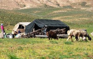 کمبود آب و علوفه در مناطق عشایری گچساران