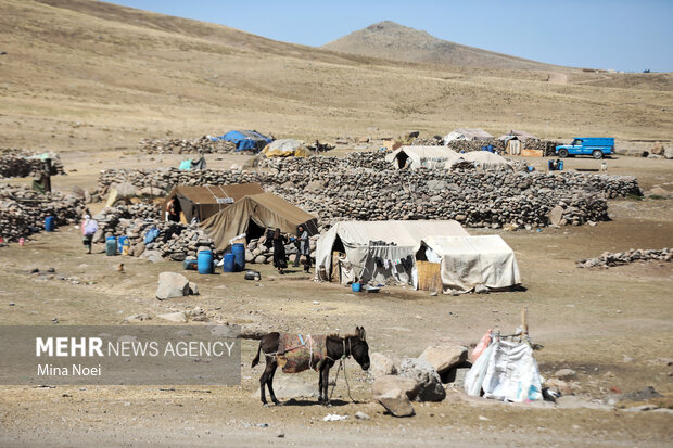 جادههای عشایری گچساران باز هستند؛توزیع ۱۴۰ تن جو در هفته آینده جادههای عشایری گچساران باز هستند؛توزیع ۱۴۰ تن جو در هفته آینده
