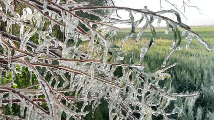هشدار نارنجی هواشناسی در کهگیلویه و بویراحمد؛سردی زمستان به اوج میرسد هشدار نارنجی هواشناسی در کهگیلویه و بویراحمد؛سردی زمستان به اوج میرسد