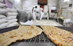 عضو کمیسیون کشاورزی مجلس قیمت جدید گندم را اعلام کرد/ یارانه آرد و نان حذف شده است؟